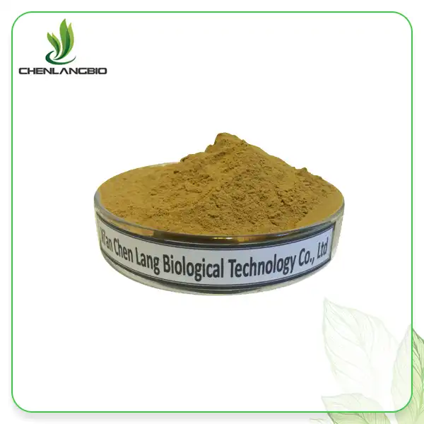 Lavender Extract Powder